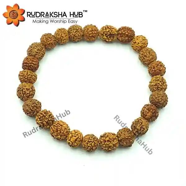 7 Mukhi Rudraksha Bracelet