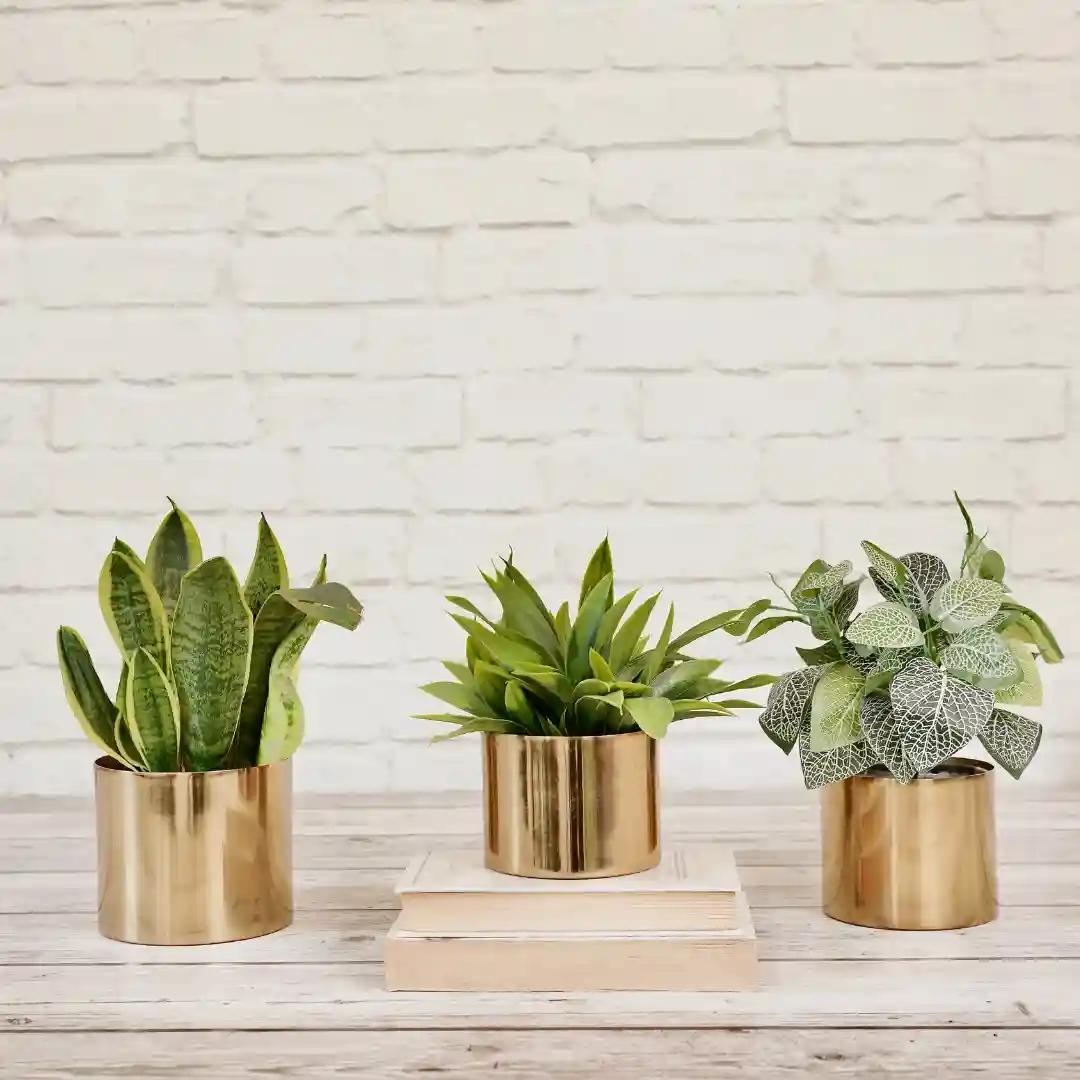 Behoma Metal Golden Small Planter for Home Decoration | Plant Pots for Home Living Room Bedroom Office Decor | Set of 2 (Plants not Included)