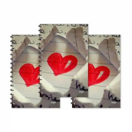 Hearts - Hate Notes Design Ruled Diaries - Pack Of 3