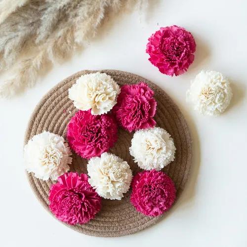 Hot pink and White Carnations Sola Wood Flowers Set (Pack of 10)