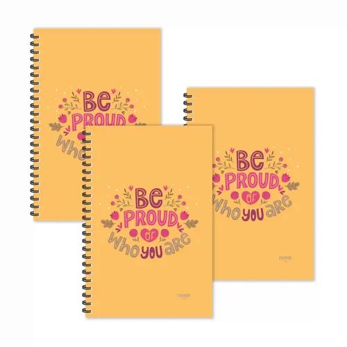 Be Proud Motivational Ruled Diaries - Pack Of 3