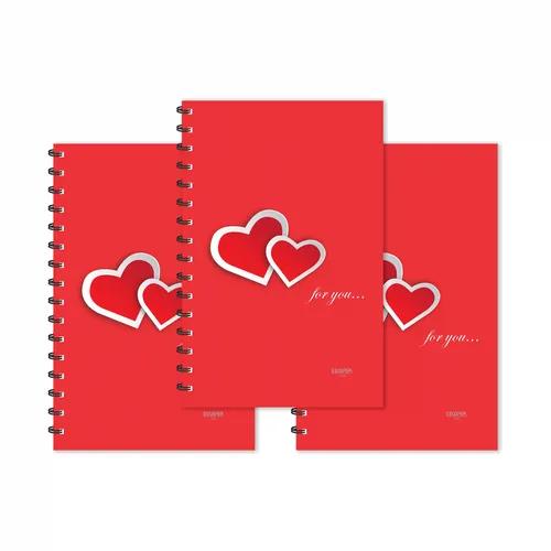 Red Hearts For You Hello Designer Ruled Diaries - Pack Of 3