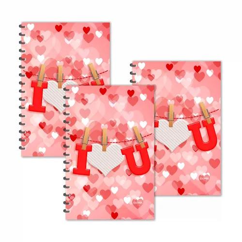 I Love You On Clips Ruled Diaries - Pack Of 3