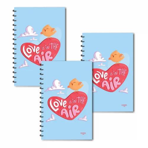 Sky Theme - Love Is In The Air Designer Ruled Diaries - Pack Of 3