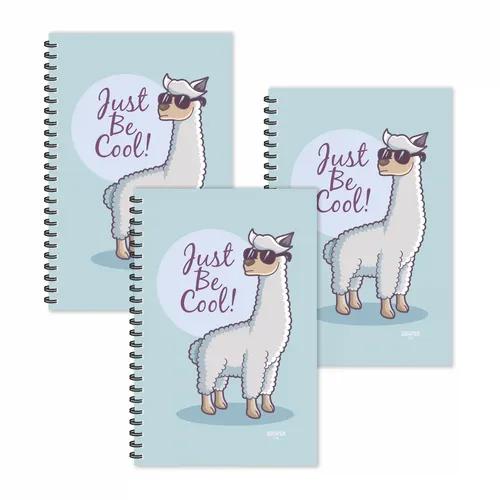 Just Be Cool Motivational Ruled Diaries - Pack Of 3